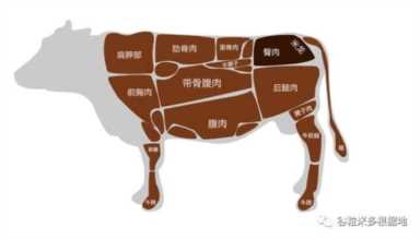 新疆人为什么不吃猪肉（新疆人为什么吃羊肉）