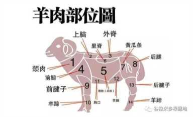 新疆人为什么不吃猪肉（新疆人为什么吃羊肉）