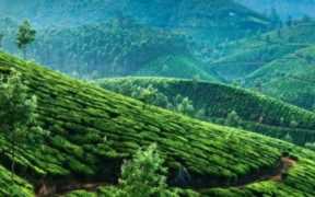 二百五的真实由来（二百五的由来从何说起）