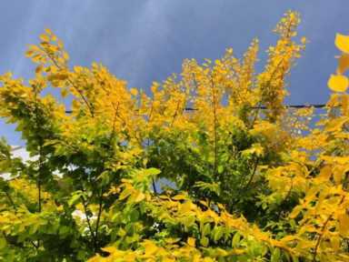 女人需要家的真正意义