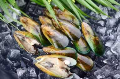 海虹和青口的区别（海虹是青口贝吗）