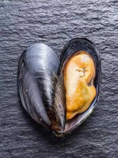 海虹和青口的区别（海虹是青口贝吗）