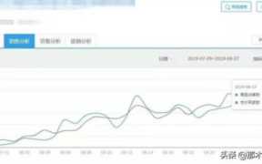淘宝每天访客100个怎么提升（淘宝店铺每天访客50个左右）