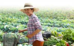 种植什么农作物的利润高？农村种植赚钱门路