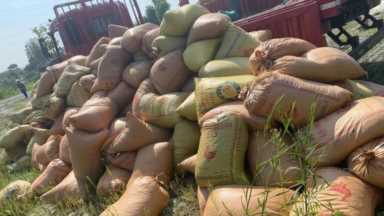 在农村可以做的50个创业小型加工厂