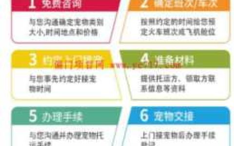 宠物托运暴利项目，闷声发财的行业