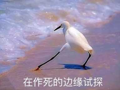 2022年腾讯都停运了哪些游戏（游戏科学工作室是腾讯的吗）