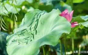 专利申请所需费用需要多少钱？国际申请专利费用