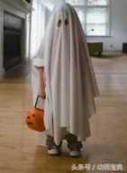 万圣节为什么要吃糖果？万圣节糖果袋子制作