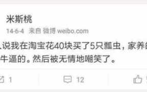 七星瓢虫两元店义乌小商品，七星瓢虫两元店的批发价格