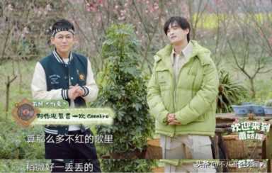 评分最高的9部综艺则(综艺节目真心话大冒险)插图13 评分最高的9部综艺则(综艺节目真心话大冒险)