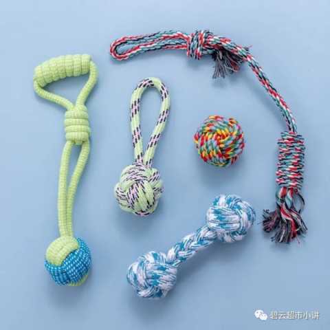 一根绵纱看宠物经济，宠物经济发展趋势