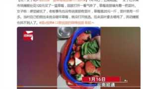 120元买一篮草莓底部塞1斤菜叶