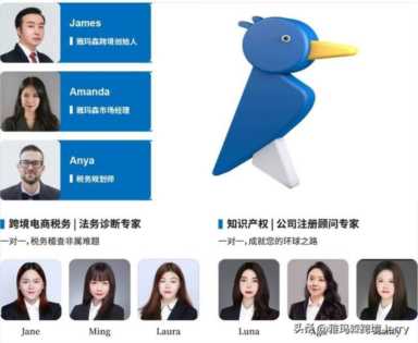 为什么谷歌不能搜索功能（谷歌搜索不可用）