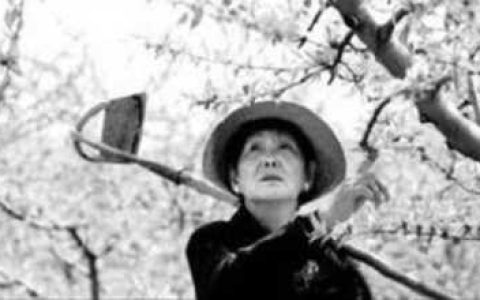 吴胜明简介d址浙江哪里人（吴胜明联系方式）