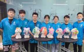 宠物美容店赚钱吗？宠物美容师的工资待遇