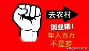 偏门赚钱，聊聊农村赚钱那些事