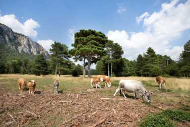 养殖业什么前景最好?养殖业将会朝着哪些方向发展插图7 养殖业什么前景最好?养殖业将会朝着哪些方向发展