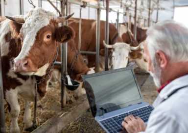 养殖业什么前景最好?养殖业将会朝着哪些方向发展插图3 养殖业什么前景最好?养殖业将会朝着哪些方向发展