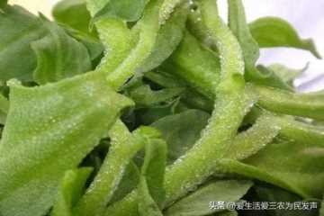 农村现在干什么赚钱(农村干什么赚钱最快投资小)插图5 农村现在干什么赚钱(农村干什么赚钱最快投资小)