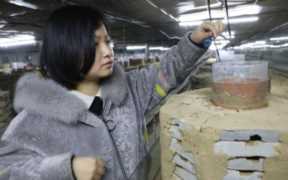 养蝎子能赚钱吗？女大学生养蝎子