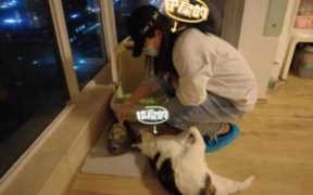 年轻人假期兼职图鉴（大学生假期兼职推荐）