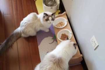 年轻人假期兼职图鉴（大学生假期兼职推荐）