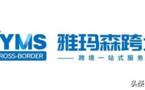 为什么谷歌不能搜索功能（谷歌搜索不可用）