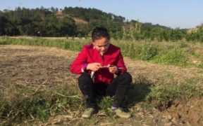 适合农村拍段子的题材（原创视频素材哪里弄）