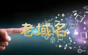 老域名是什么？老域名挑选