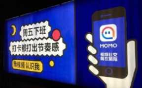 你会怎么过周末陌陌暗语（陌陌暗语你会怎么过周末暗示什么）