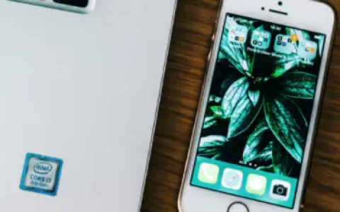 淘宝店系统默认好评店铺加分吗？