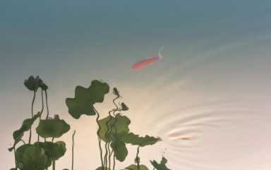 好养的宠物猫好养的宠物，五种适合懒人喂养的宠物