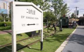 四川网红排名前十名，四川最大的网红