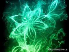出了几件混沌之宝？十大混沌至宝