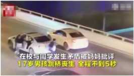 跳桥男孩的母亲疯了（17岁跳桥男孩母亲现状）