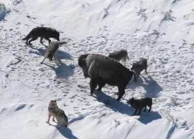 四人不回头是什么意思（四人莫回头）