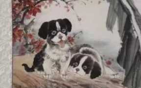 情深似海是什么生肖，一往情深打一动物