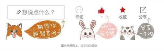 猫咪体检一套下来多少钱?猫几岁开始需要体检