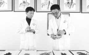 药材种植加盟项目（药材种植加盟项目羌活）