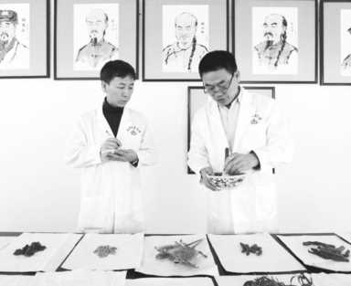 药材种植加盟项目（药材种植加盟项目羌活）