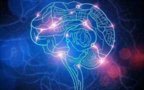 疫情过后做什么生意比较好赚钱？疫情放开了做什么生意好?