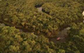 法律边缘暴利生意，充分洞察行业本质