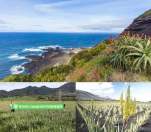 芭芭多加盟费多少？加盟芭芭多这个品牌怎么样