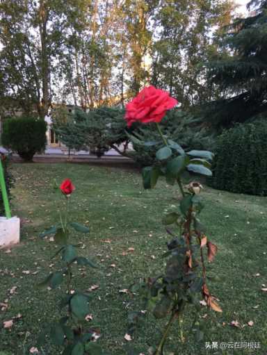 不用投资一分钱，适合老年人每天赚个十几二十块的生意有哪些？省一分钱就是赚一分钱（无本一天赚1000）