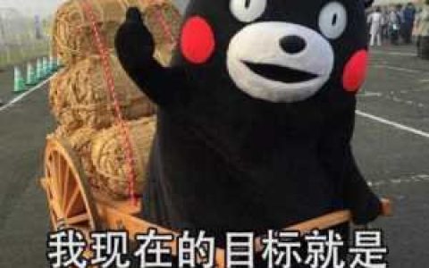 数据分析报告怎么写？数据分析报告的5个步骤