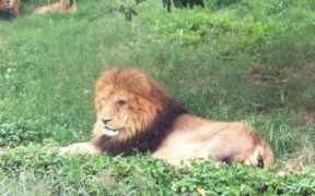 重庆永川地图，重庆永川地图景点介绍