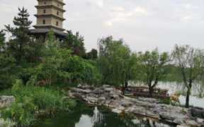 镜像模式是什么意思（照片镜像模式是什么意思）