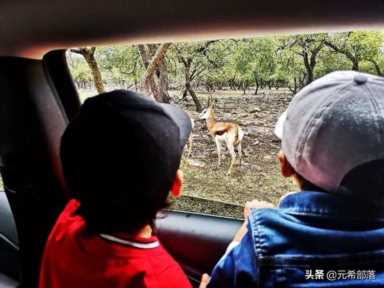 圣安东尼奥，圣安东尼奥旅游景点攻略