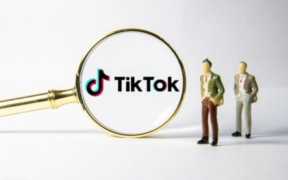 tiktok无网络连接怎么办